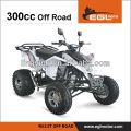 300cc Motor atv mit der EWG